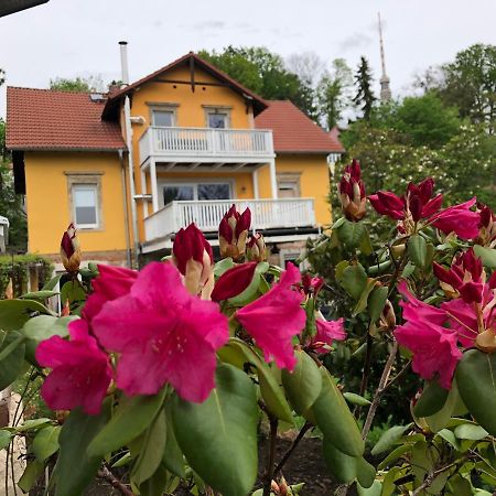 Ferienwohnung Casa Casimir Mit Elbblick, Balkon Und Grossen Garten Dresden Eksteriør bilde