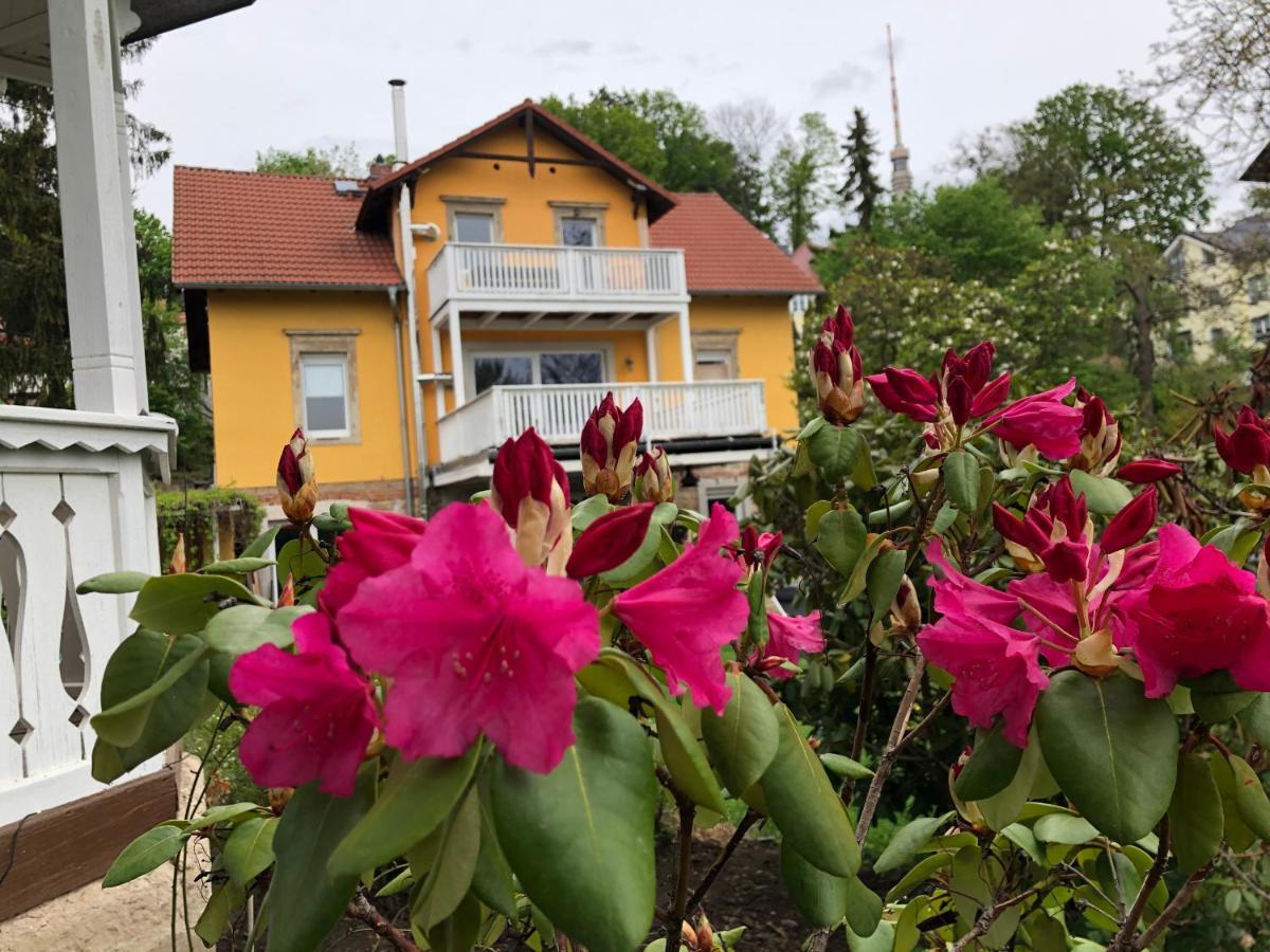 Ferienwohnung Casa Casimir Mit Elbblick, Balkon Und Grossen Garten Dresden Eksteriør bilde